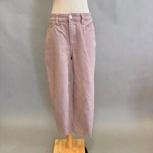 Madewell‎ Slim Emmett Tapered Pants in Vintage Pearl  Canvas Size 29